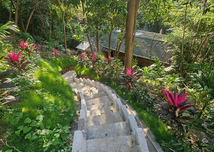 La Casa Del Mono