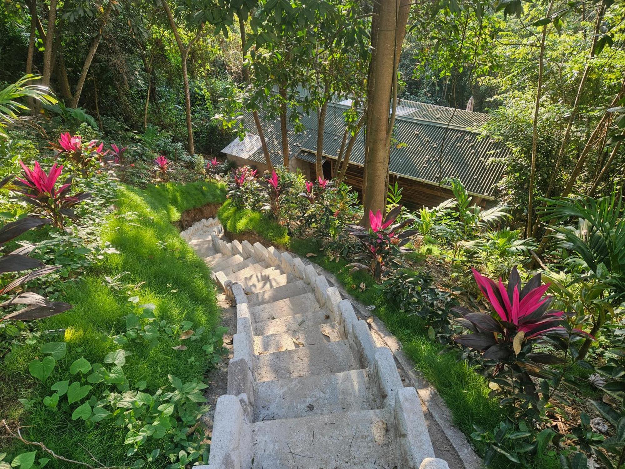 La Casa Del Mono * Minca